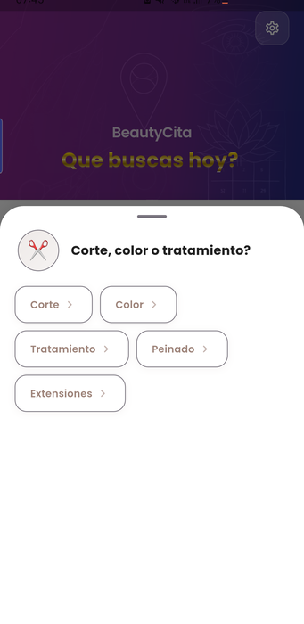 Subcategorias inteligentes